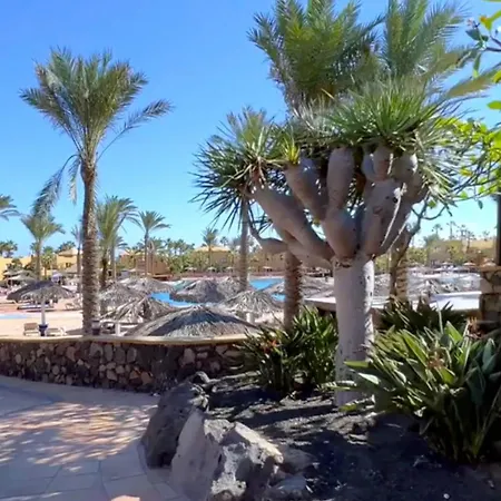 Casa Sofia 公寓 科拉雷侯