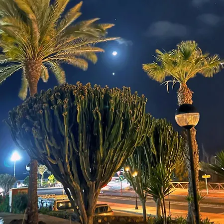 公寓 Casa Sofia 科拉雷侯